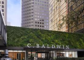 C. Baldwin, Curio Collection by Hilton 2