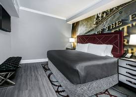 Hotel Indigo DALLAS DOWNTOWN by IHG 5