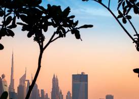 DoubleTree by Hilton Dubai M Square Hotel & Residences 4