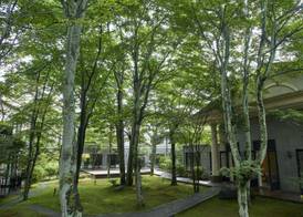 Kyukaruizawa Kikyo, Curio Collection by Hilton 3