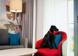 ibis Styles Mysuru 2