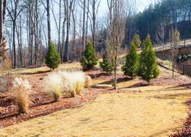 Home2 Suites By Hilton Alpharetta, Ga 5