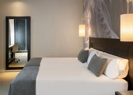 Salles Hotel Aeroport de Girona 5