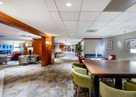 Hilton Garden Inn Tysons Corner 5