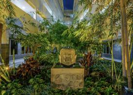 Koi Resort Saint Kitts, Curio Collection by Hilton 3