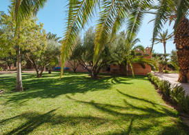 Dar 55 - Berber House - Boutique Hôtel & SPA 2
