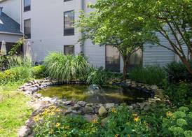 Hampton Inn & Suites Rochester/Victor 3