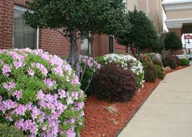 Hampton Inn Shreveport Airport 3