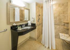 Holiday Inn Resort ORLANDO LAKE BUENA VISTA by IHG 3