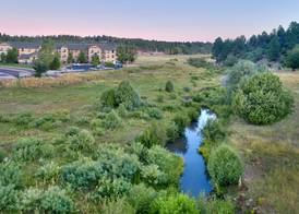Hampton Inn & Suites Show Low-Pinetop 3