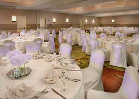 DoubleTree by Hilton Sterling - Dulles Airport 4