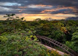 Botanika Osa Peninsula, Curio Collection By Hilton 2