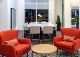 Hilton Garden Inn Orlando International Drive North 5