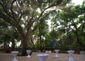 Hilton Garden Inn Tampa East/Brandon 2