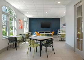 Spark by Hilton Summerville 3