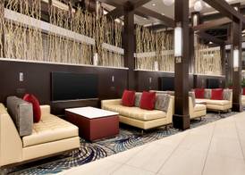 Embassy Suites by Hilton Atlanta NE Gwinnett Sugarloaf 3