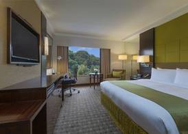 Holiday Inn SINGAPORE ORCHARD CITY CENTRE by IHG 4