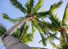 Casa Marina Key West, Curio Collection by Hilton 2
