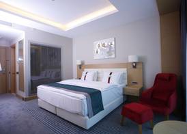 Holiday Inn ANKARA - CUKURAMBAR by IHG 3