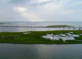 Hampton Inn & Suites Chincoteague-Waterfront, Va 3