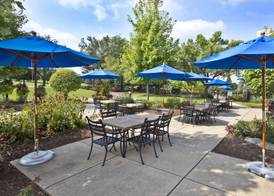 Hilton Chicago Oak Brook Hills Resort & Conference Center 2