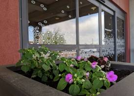 Hampton Inn & Suites Cincinnati-Union Centre 2