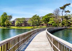 Kingston Plantation Condos 4