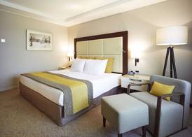 Crowne Plaza BUCHAREST by IHG 4