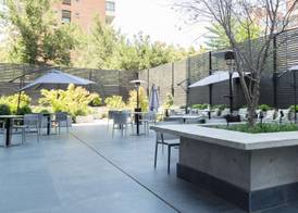 Ola Santiago Providencia, Tapestry Collection by Hilton 2
