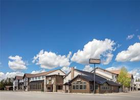 Starlite Yellowstone, Tapestry Collection by Hilton 4