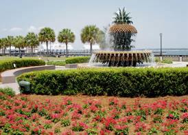 DoubleTree by Hilton Charleston Riverview 2
