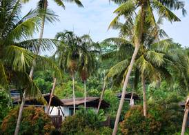 Barcelo Coconut Island, Phuket 4