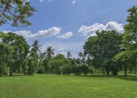 Kahavadi Chiang Rai, Curio Collection by Hilton 4