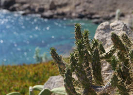 Mykonos Lolita, a Resort to Live 4