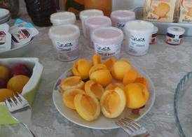 Alma Mater Bed & Breakfast 5