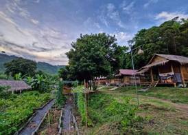 Samui Camping Farm 3