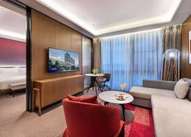 Novotel Dongguan Songshan 5