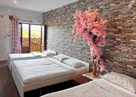 Nature's Resort 5