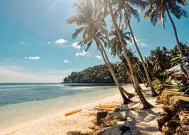 Tuburan Cove Beach Resort 4