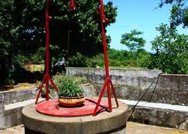 B&B Sotto i Pini 5