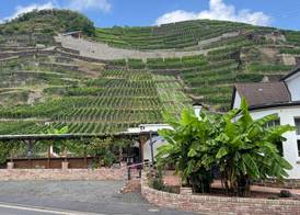 Winzerschenke 2