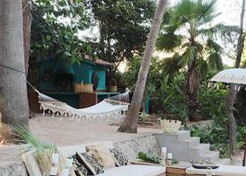 El botanico de Sagra 4