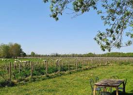 LaRiviere 3