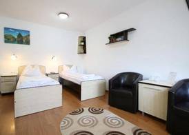 Casa Micu 4