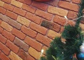 Gafa Garden Hostel & Apartments - Great Location 2