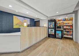 Spark by Hilton Milford Boston 4