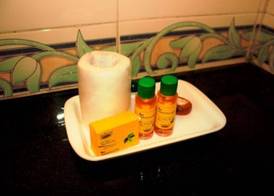 Hotel Vinflora Residency- Nr LV Prasad EYE Hospital, Jubilee Hills, Restaurant & Parking 2
