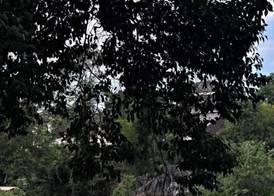 Huangyao Bandao Hotel 4