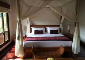 Natura Villa Ubud Bali 2