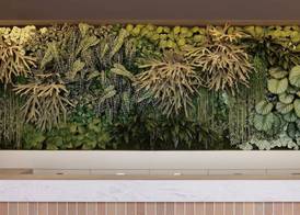 Mitsui Garden Hotel Prana Tokyo Bay 5